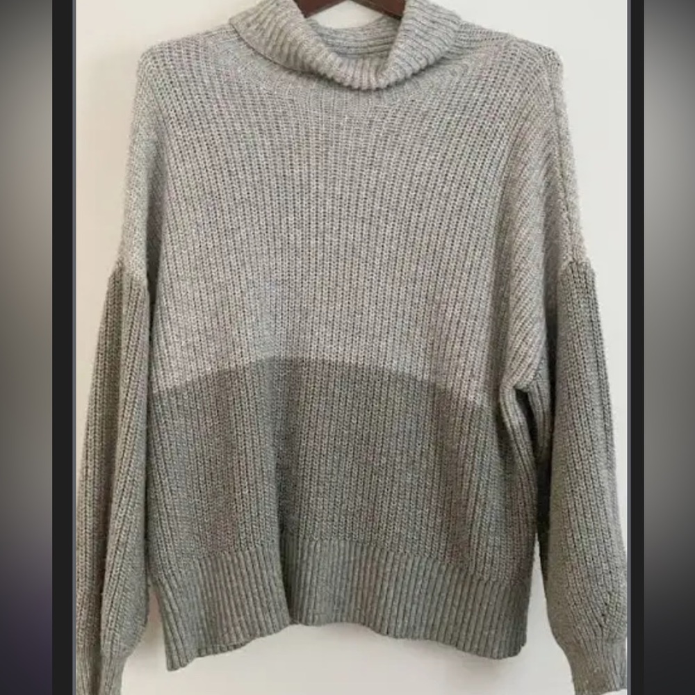 Colorblock turtleneck